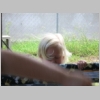 Alex 1yr bday 56.jpg
